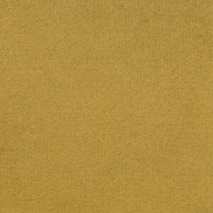 Plush Gold Velvet 