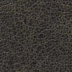 Kalahari Sand