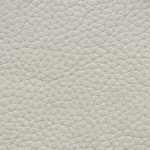  Nuvo Pearl 
